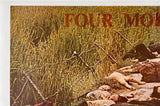 FOUR MORE YEARS? FOUR MORE YEARS? - Vietnam War