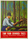 Rare authentic original vintage Thin Your Crowded Trees linen backed USA post World War II American productivity propaganda poster circa 1945.