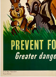 PLEASE, MISTER, DON'T BE CARELESS - PREVENT FOREST FIRES - WALT DISNEY