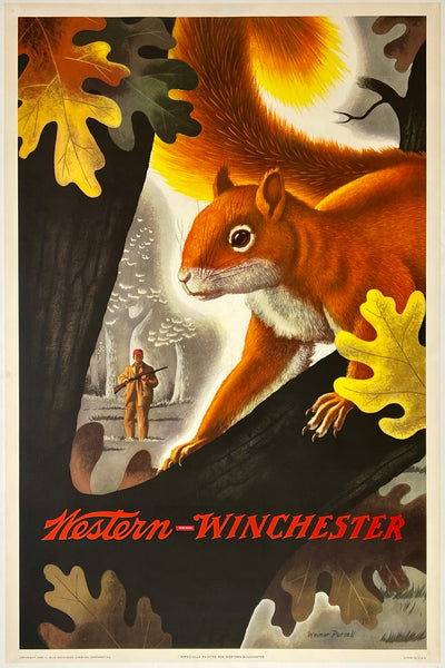 Original vintage Western Winchester squirrel hunting shotgun rifle linen backed advertising poster by artist Weimer Pursell, circa 1955.