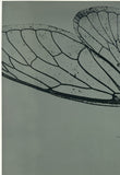 FIELD MUSEUM - 17 YEAR CICADA: A STRATEGY FOR SURVIVAL