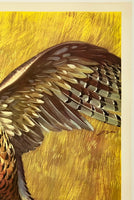 WESTERN WINCHESTER - PHEASANT