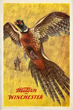 Vintage-style advertisement for Winchester with a large bird and a person in the background on a yellow background.