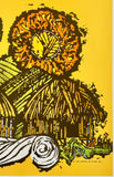 HAWAII - UNITED AIR LINES