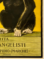 ANISETTA EVANGELISTI - LIQUORE DA DESSERT