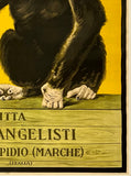 ANISETTA EVANGELISTI - LIQUORE DA DESSERT