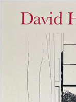 DAVID HOCKNEY - LOUISIANA 1976