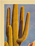SANTA FE RAILROAD - ARIZONA