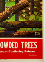 THIN YOUR CROWDED TREES