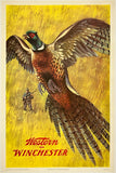 Original vintage Western Winchester pheasant hunting shotgun rifle linen backed advertising poster by artist Weimer Pursell, circa 1955.
