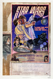 Authentic original vintage Star Wars - A New Hope Style D linen backed one sheet movie poster illustrated by artists Drew Struzan and Charles White and printed circa 1978. This is the NSS-style version of this poster.