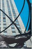 NEW YORK VIA UNITED AIR LINES