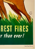 PLEASE, MISTER, DON'T BE CARELESS - PREVENT FOREST FIRES - WALT DISNEY