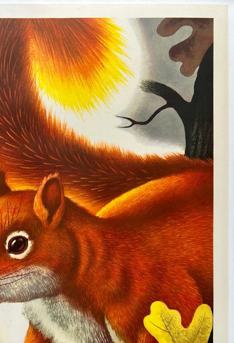 Vintage Style 1955 Western Winchester Squirrel Hunting Poster - 16x24 Inches - Reproduction On Matte Paper 2 thumbnail image