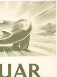 JAGUAR - LE MANS 1954 - 24 HEURES GRAND PRIX ENDURANCE