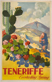 Original vintage Teneriffe - Everlasting Spring linen backed Spanish poster promoting travel and tourism to Teneriffe or Tenerife Spain by artist J. Davo, circa 1945.