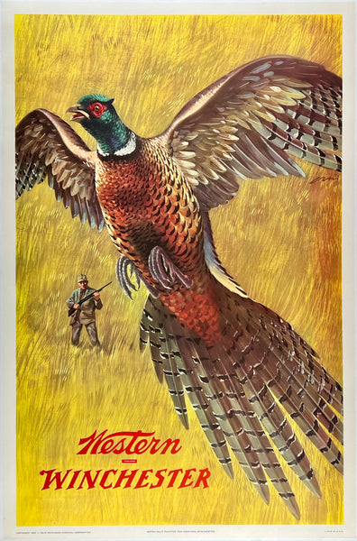 Original vintage Western Winchester pheasant hunting shotgun rifle linen backed advertising poster by artist Weimer Pursell, circa 1955.